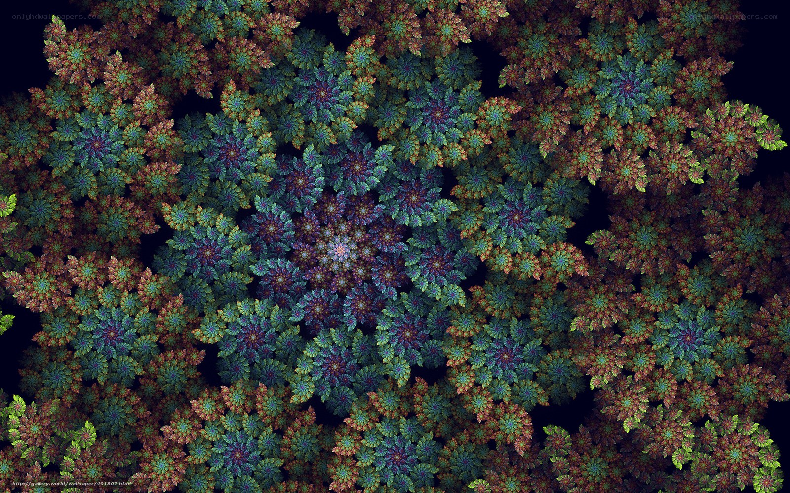 Fractal floral pattern