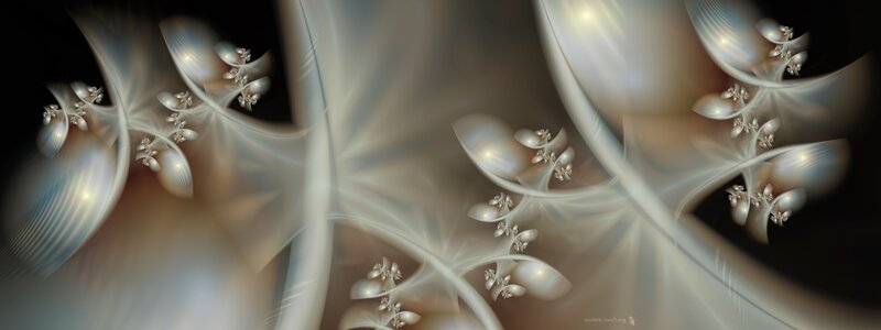 Fractal floral patterns