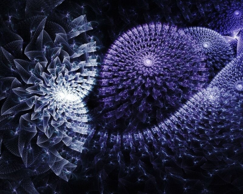 fractal floral patterns