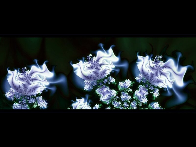 Fractal floral patterns