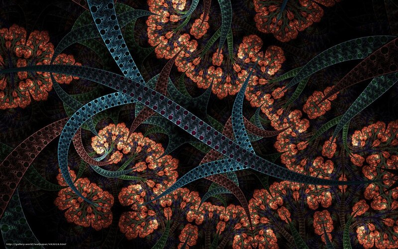 Fractal Floral Patterns — Black