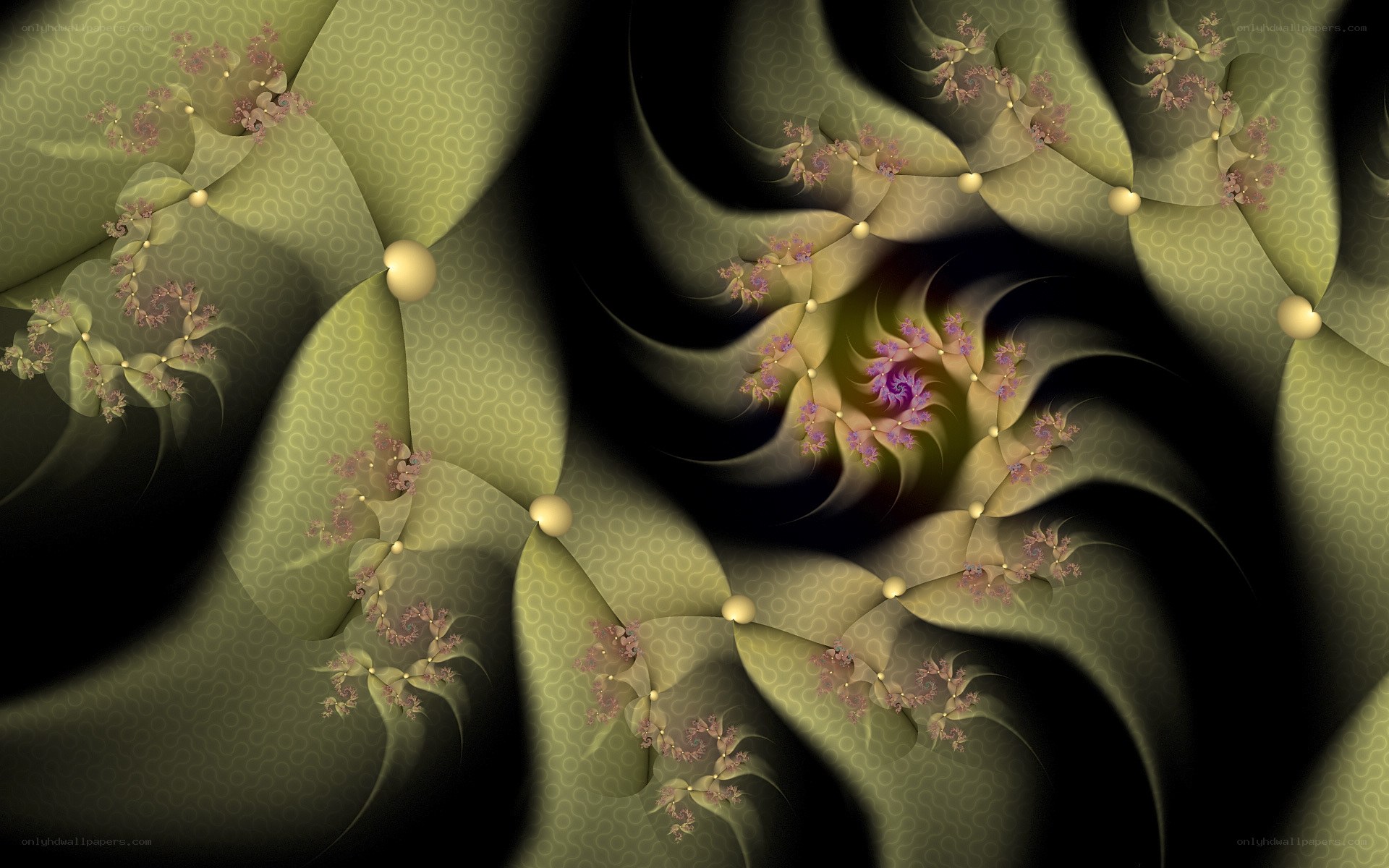 Fractal floral spiral