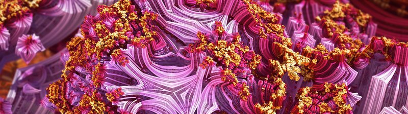 Fractal Floral Structure