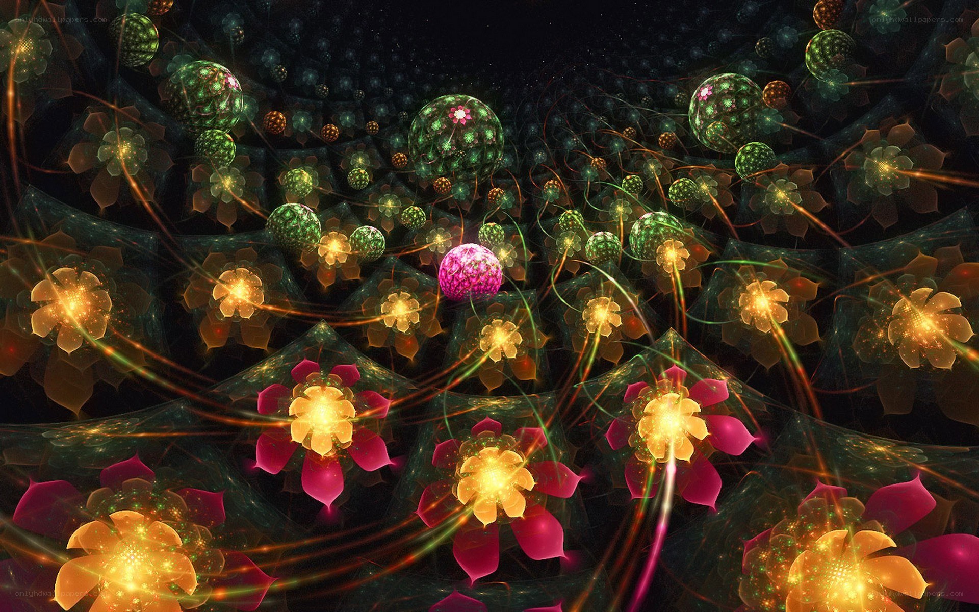 fractal floral universe