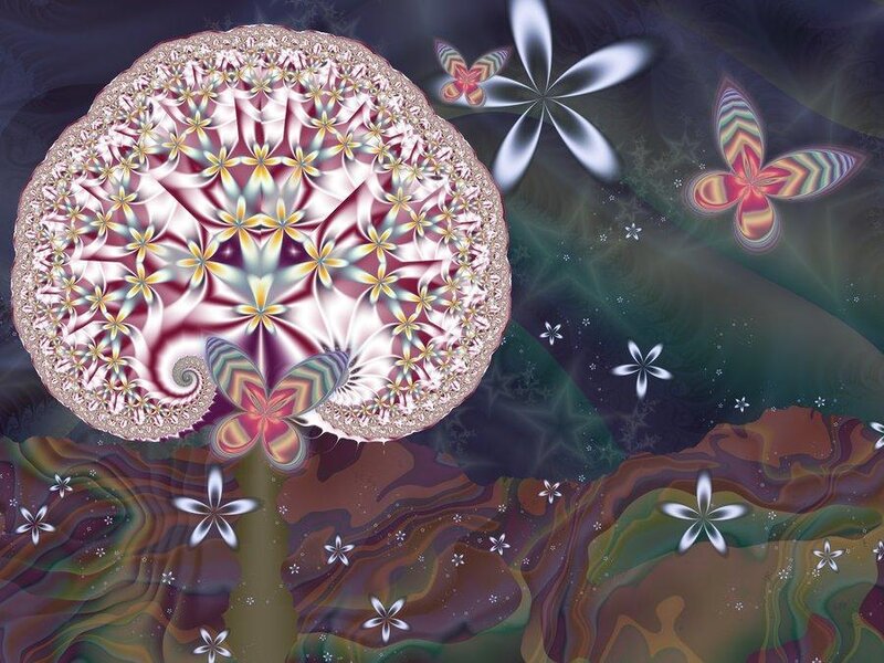 fractal flower and butterfly art