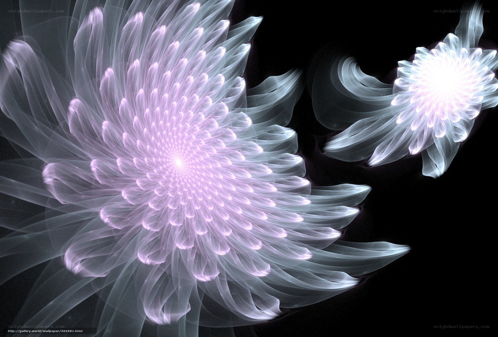 Fractal flower art