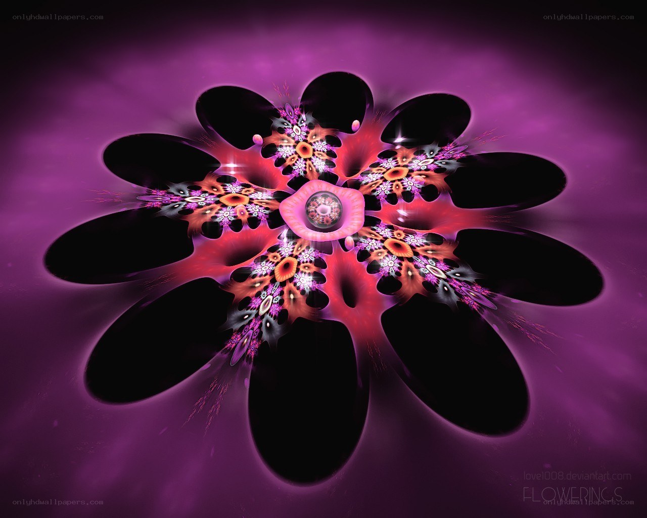 Fractal Flower Art