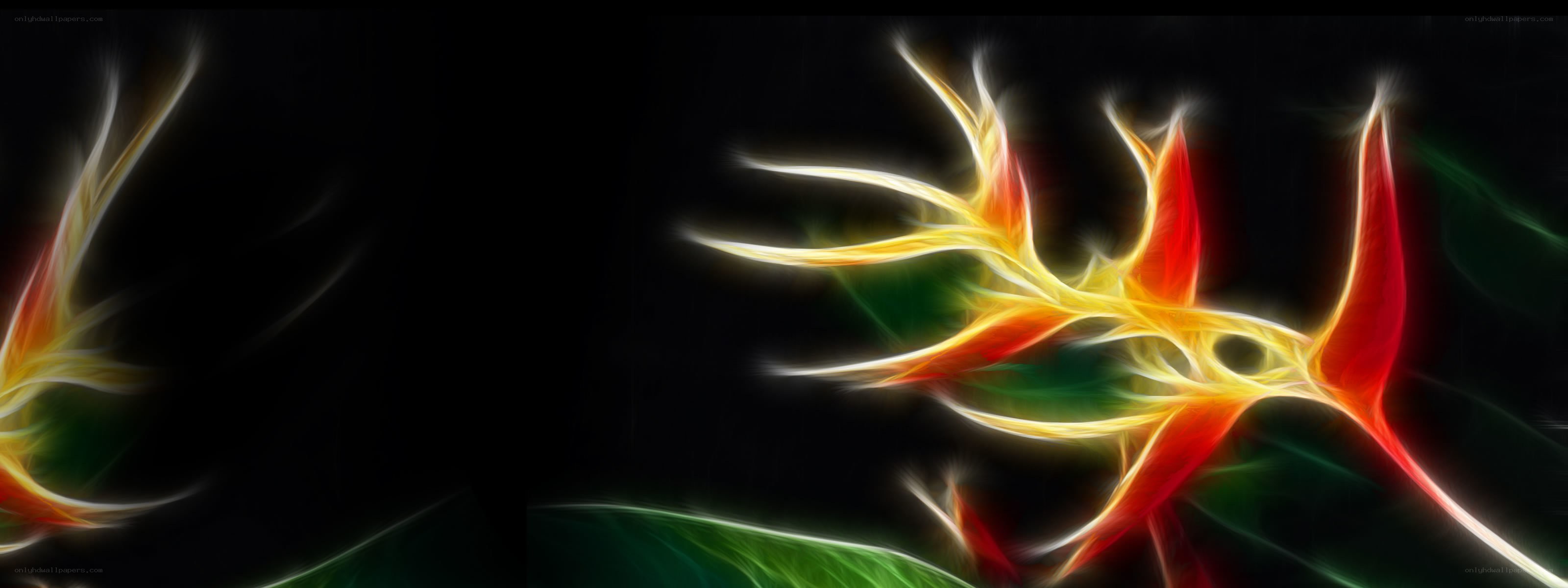 fractal flower art