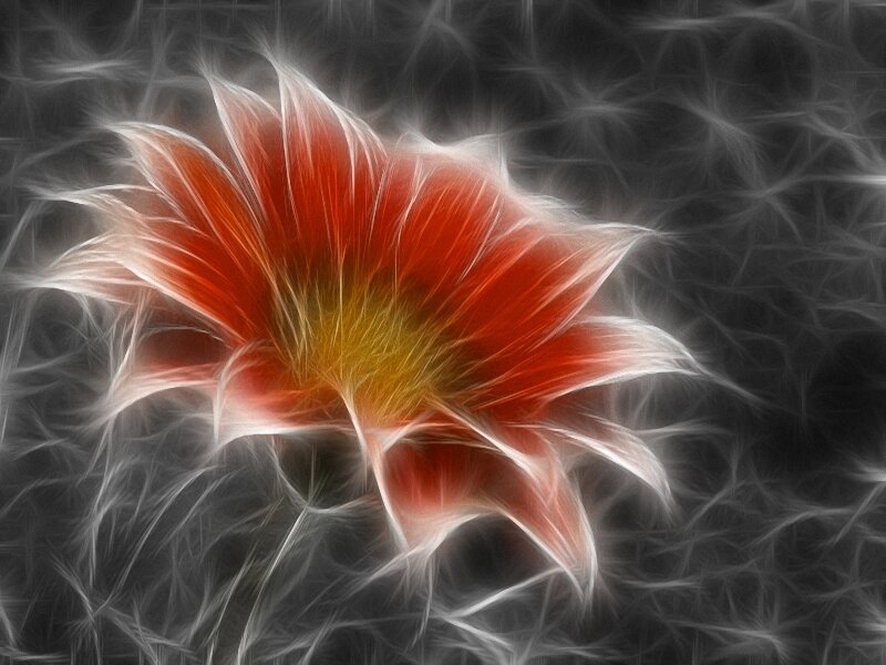 Fractal flower art