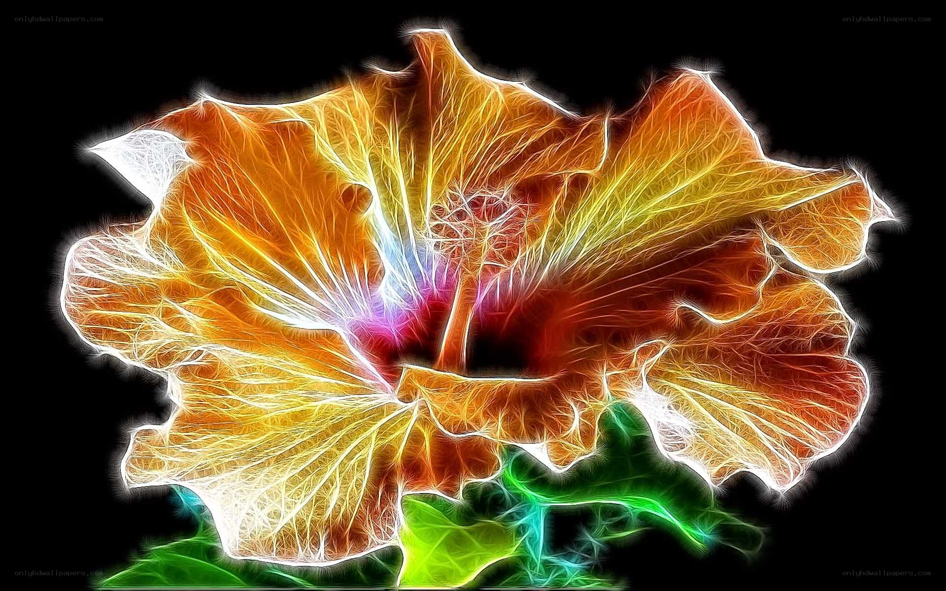 fractal flower art