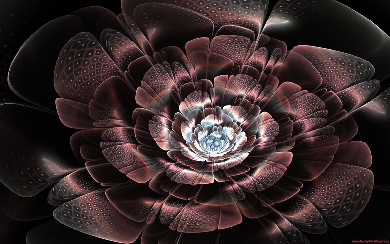 Fractal Flower Bloom — Black, Dramatic, Digital Art, Petals, Center, Dark Background, Purple