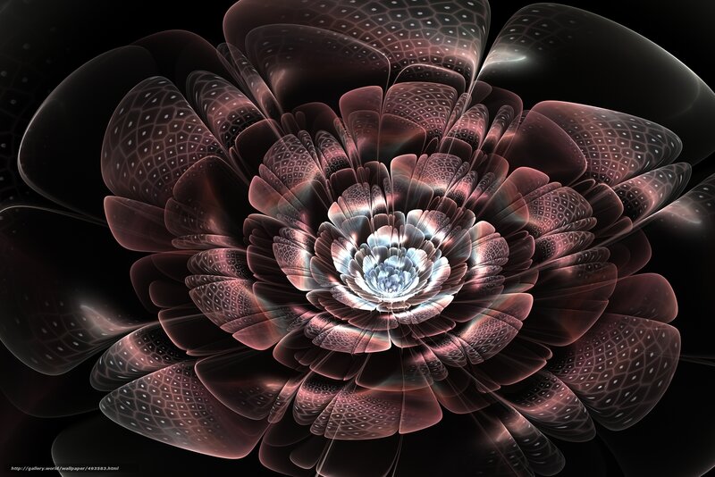 Fractal Flower Bloom — Black, Dramatic, Digital Art, Petals, Center