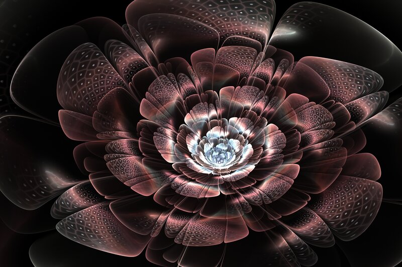 Fractal Flower Bloom — Black, Dramatic, Digital Art, Petals