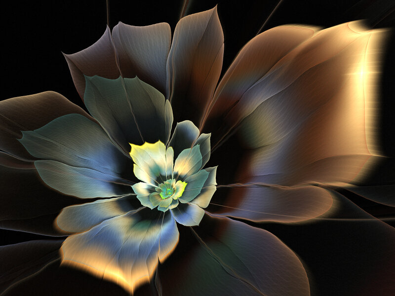 Fractal Flower Bloom — Black, Dramatic, Digital Art