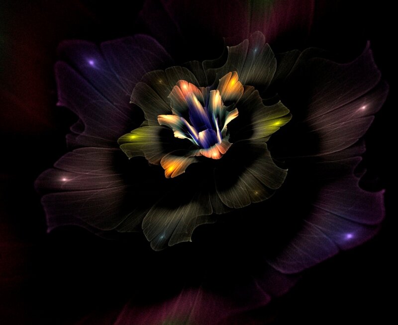 Fractal Flower Bloom — Black