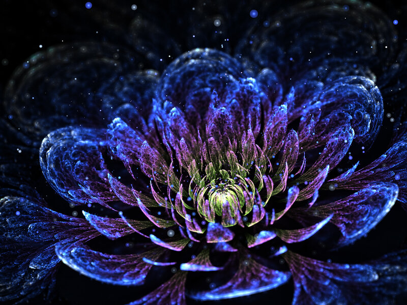 Fractal Flower Bloom — Blue, Cosmic
