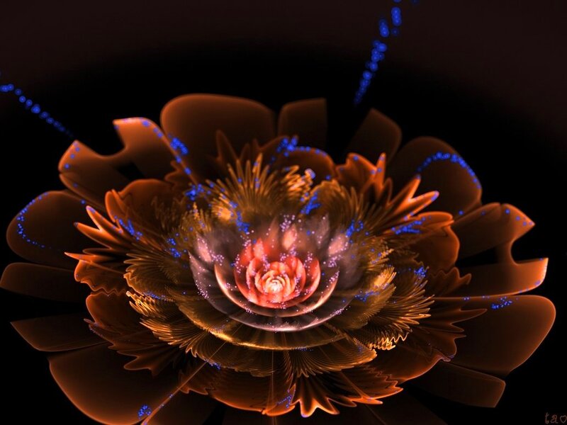 Fractal Flower Bloom — Brown