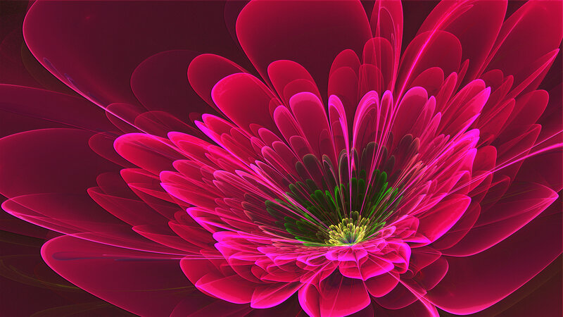 Fractal Flower Bloom — Magenta, Vibrant