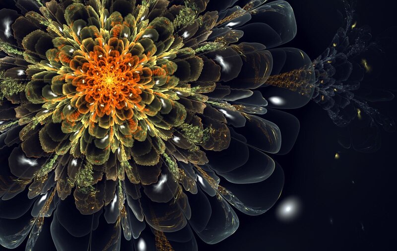 Fractal Flower Bloom — Orange, Dramatic