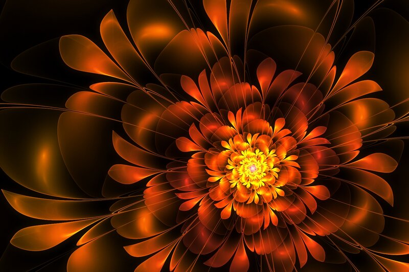 Fractal Flower Bloom — Orange