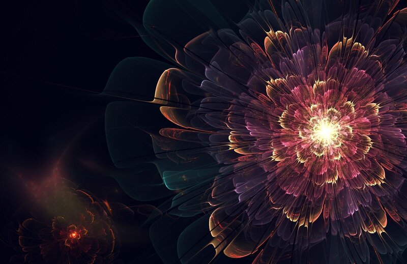 Fractal Flower Bloom — Purple, Dramatic, Night