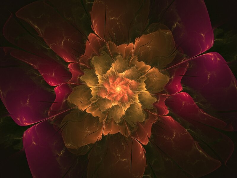 Fractal Flower Bloom — Purple, Dramatic