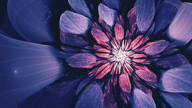 Fractal Flower Bloom — Purple, Ethereal, Digital Art, Petals, Light Rays