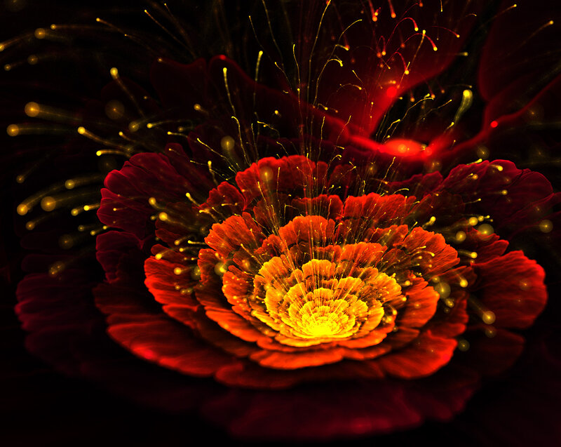 Fractal Flower Bloom — Red, Dramatic, Night