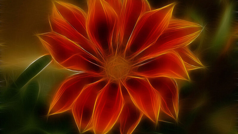 Fractal Flower Bloom — Red, Dramatic