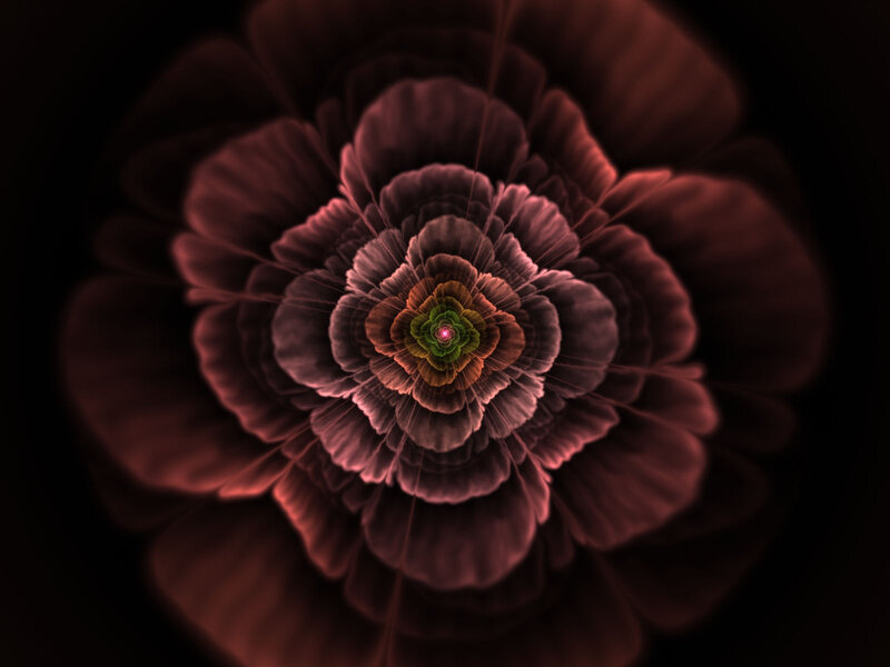 Fractal Flower Bloom — Red, Mysterious
