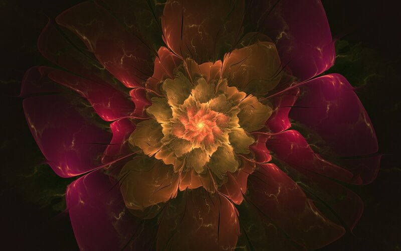 Fractal flower bloom