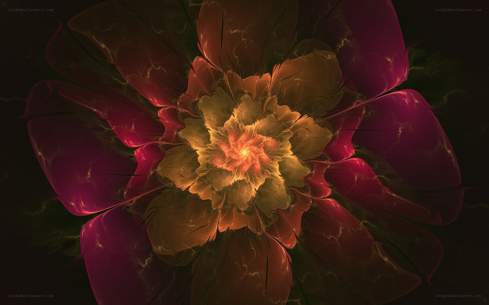 Fractal flower bloom