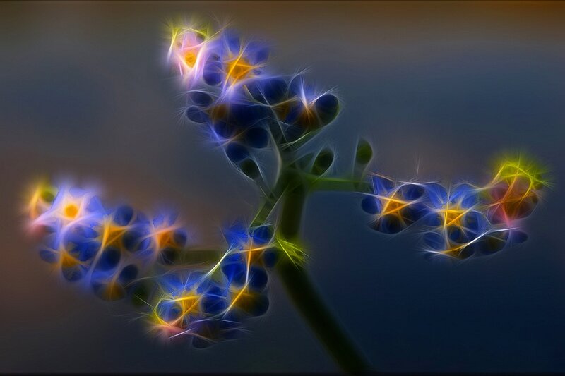 Fractal Flower Cluster — Blue