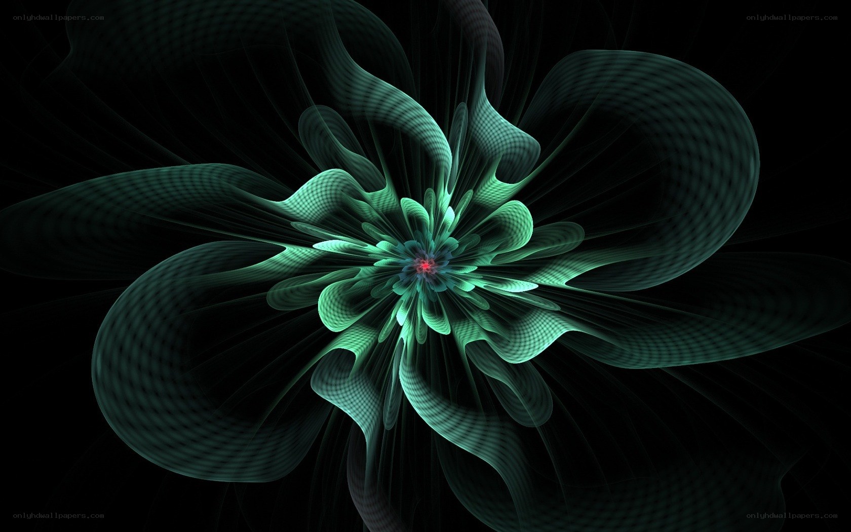 Fractal flower design