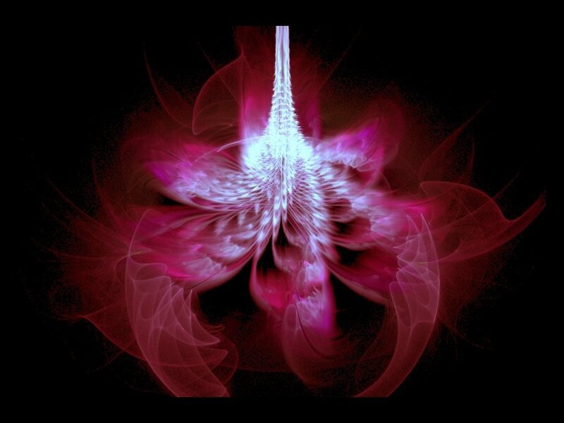 Fractal Flower Design — Pink