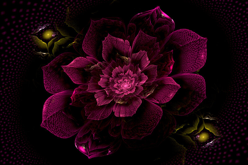Fractal Flower Design — Purple, Dramatic, Digital Art, Dots