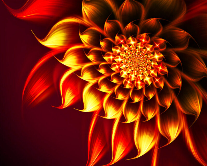 Fractal Flower Design — Red, Dramatic