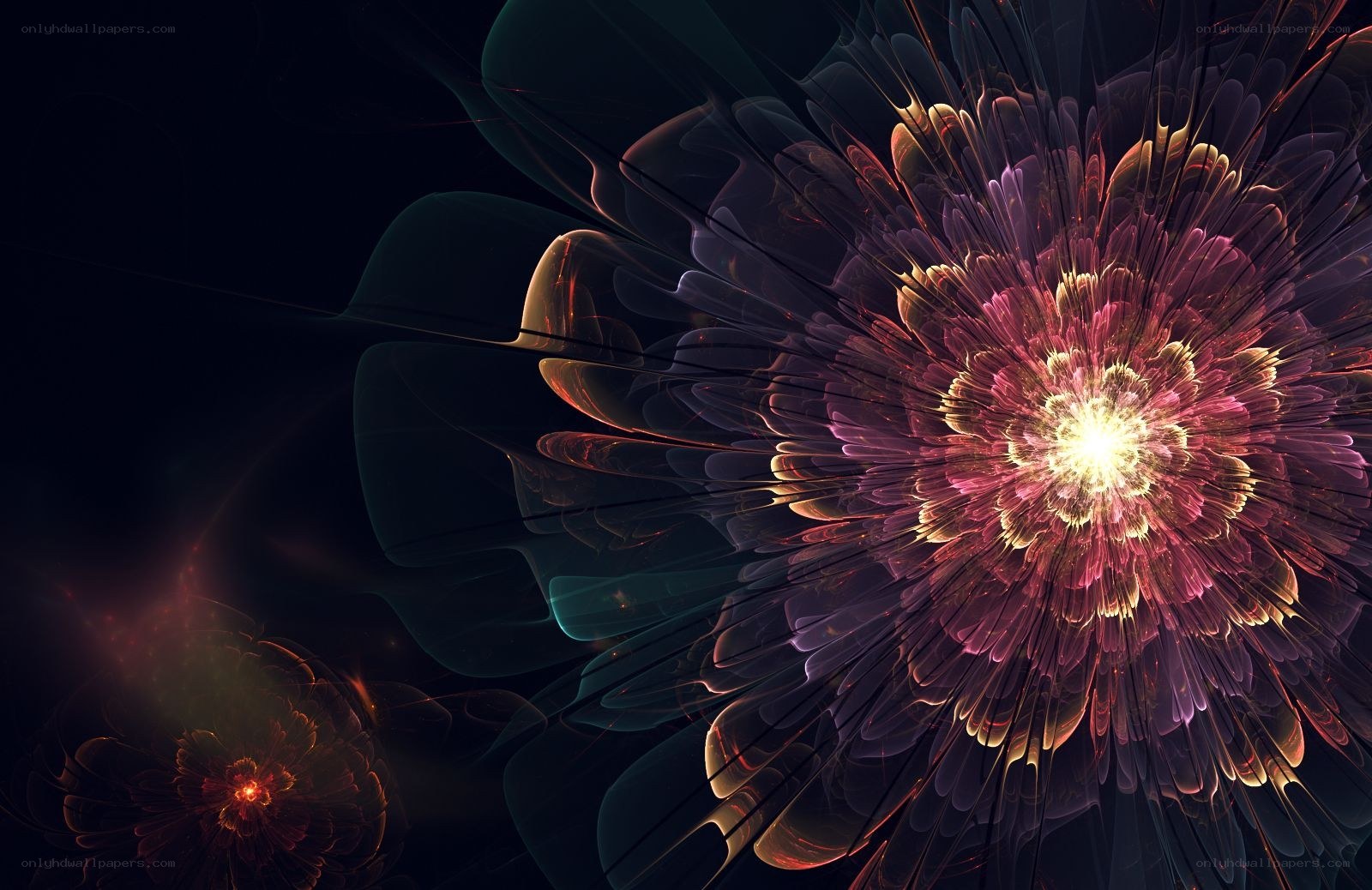 fractal flower explosion