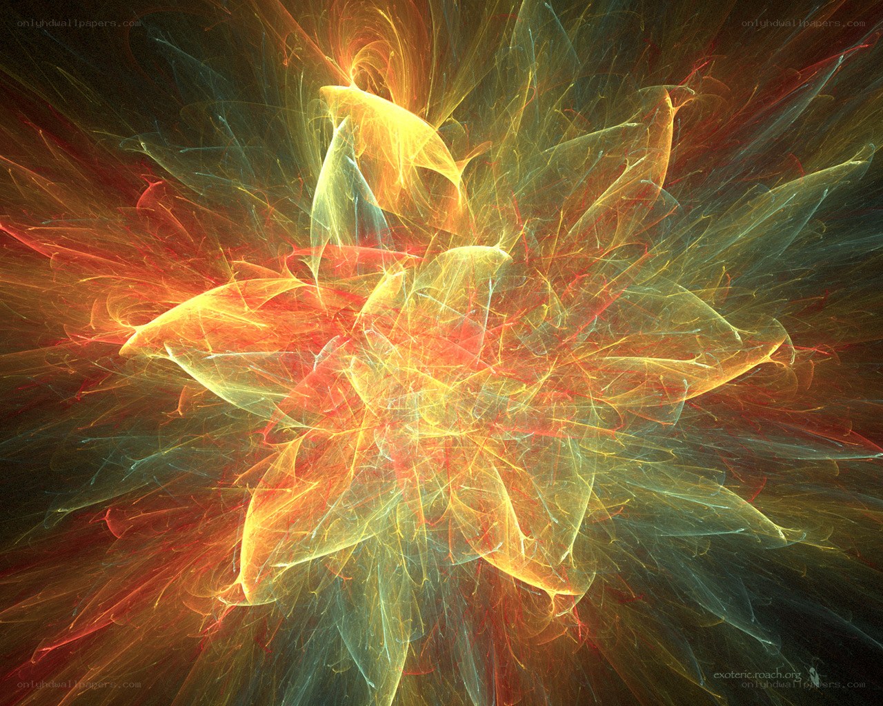fractal flower explosion