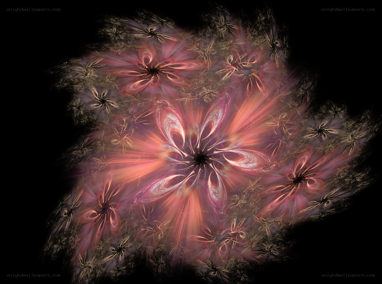 fractal flower explosion