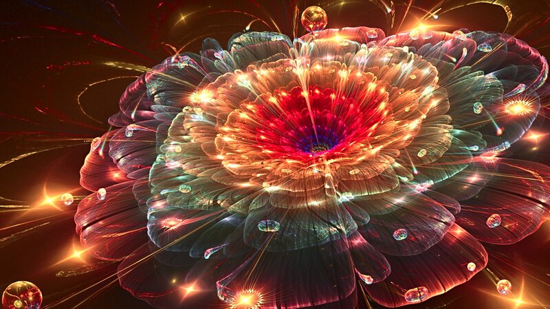 Fractal Flower Explosion — Red