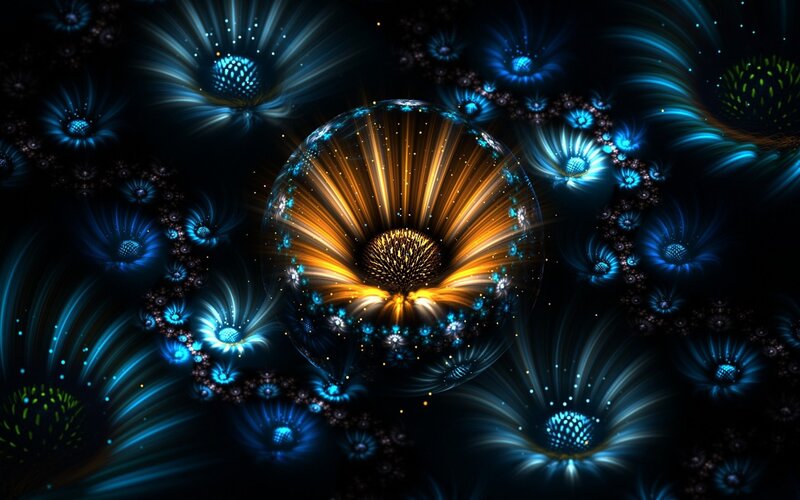 fractal flower explosion