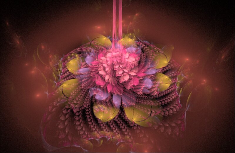 Fractal Flower Formation