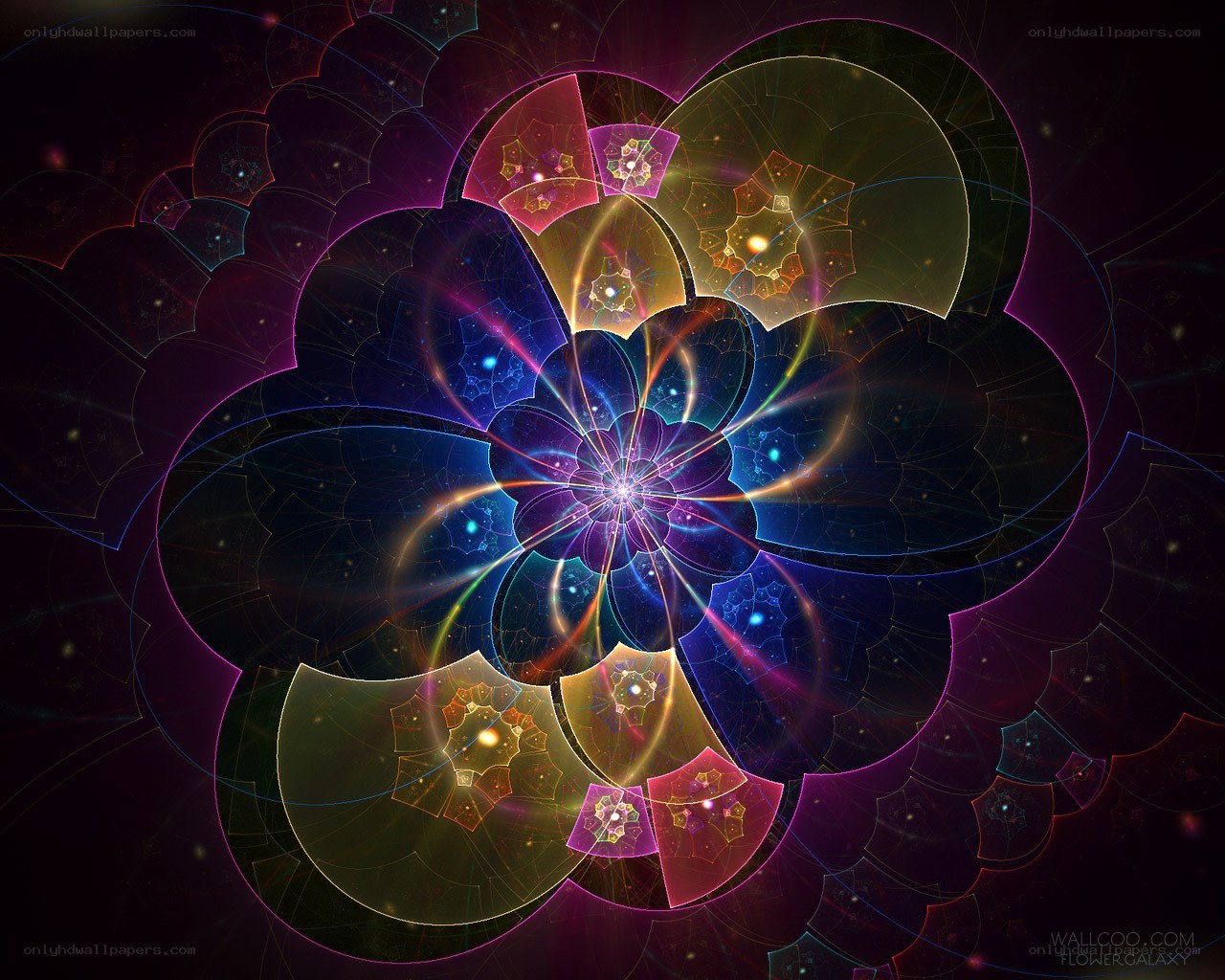 Fractal Flower Galaxy
