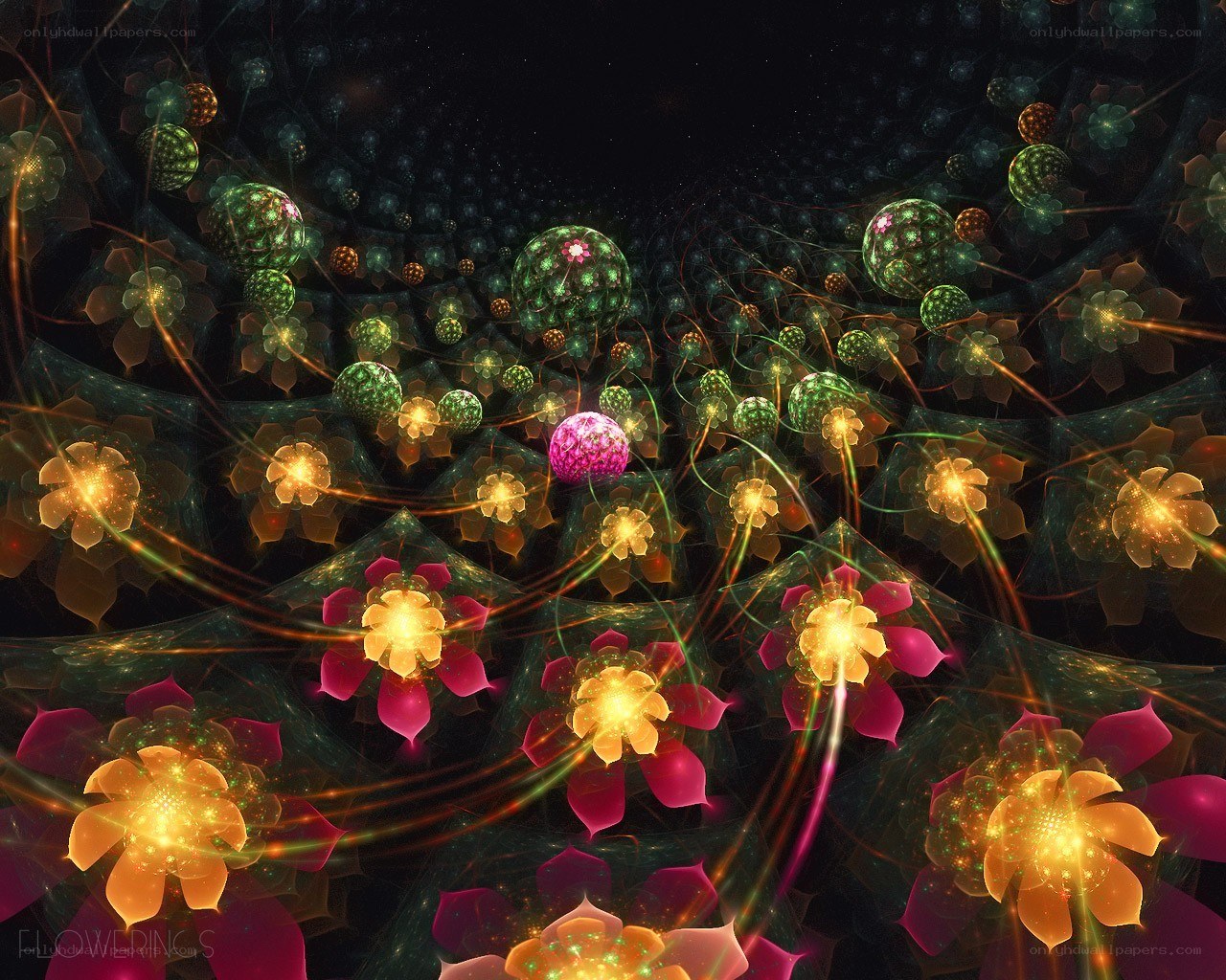 Fractal Flower Garden