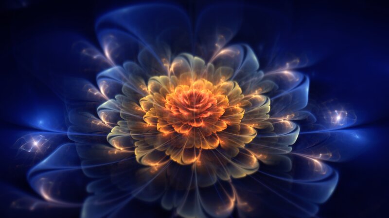 Fractal flower in blue and gold