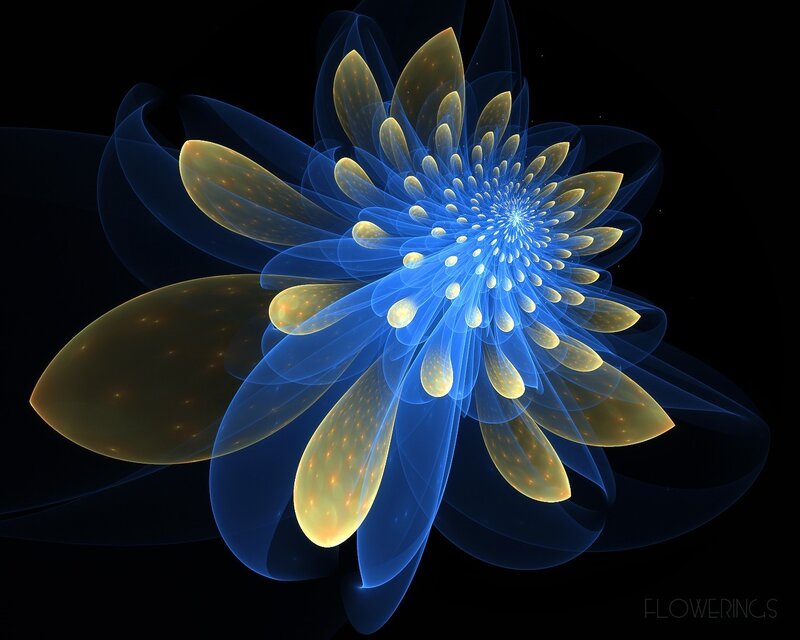 Fractal Flower in Blue and Gold