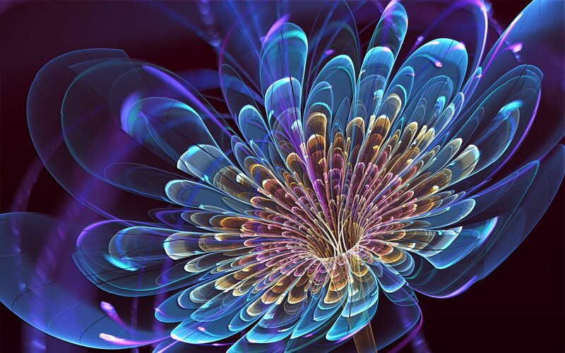 fractal flower in blue and purple