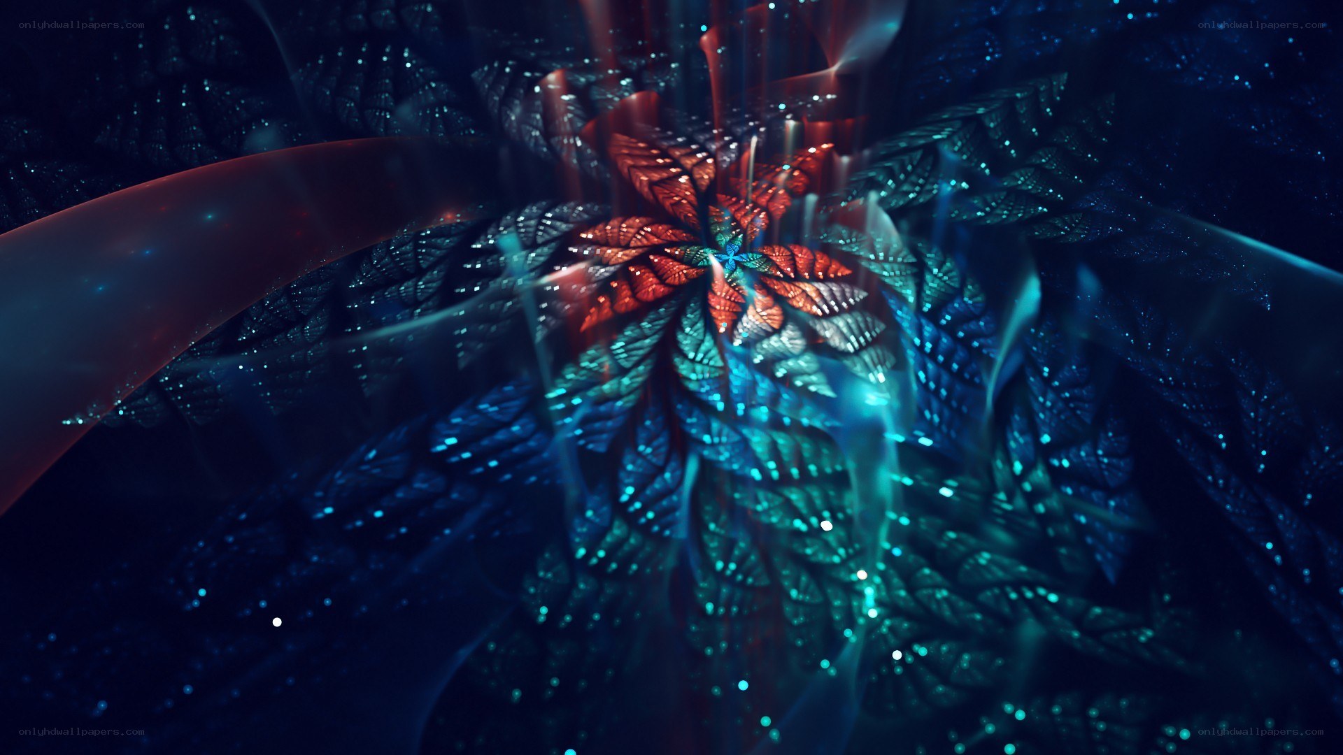 fractal flower in cosmic light