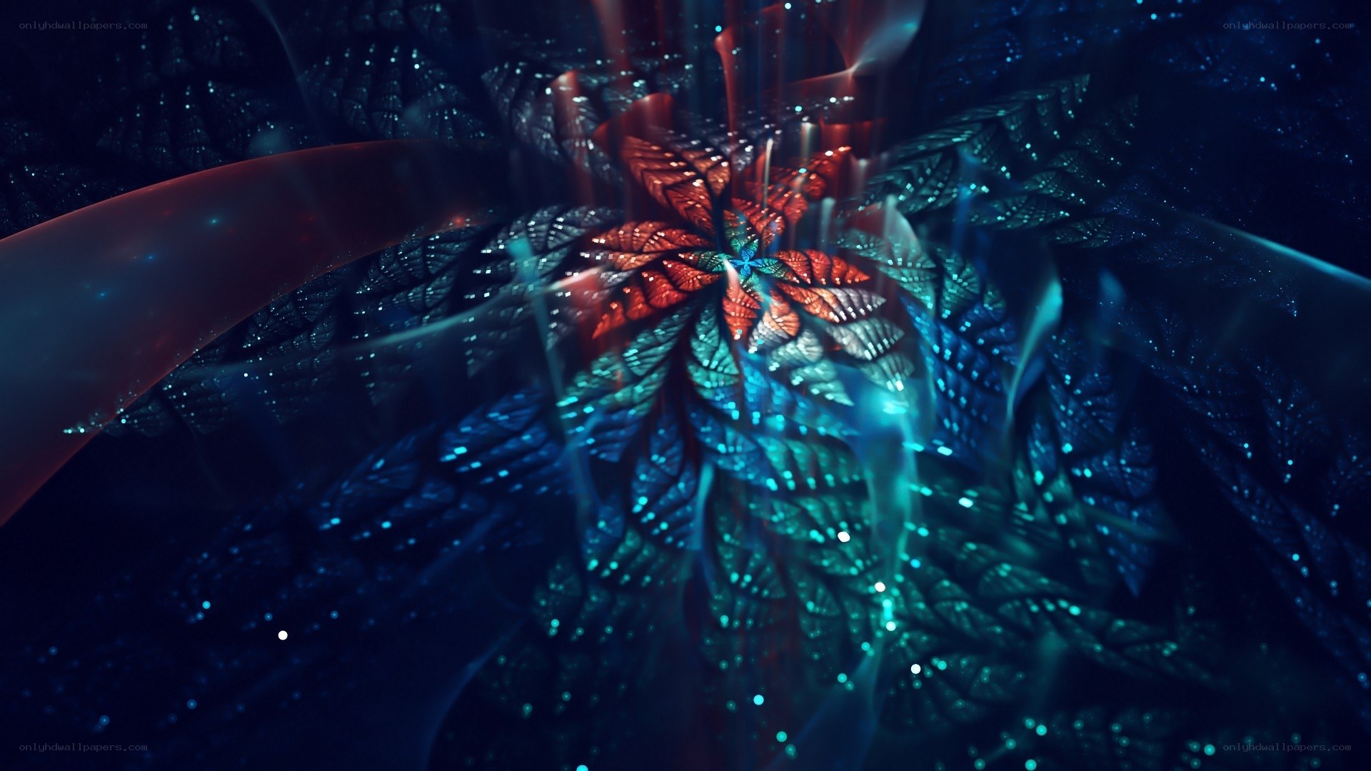 fractal flower in cosmic light